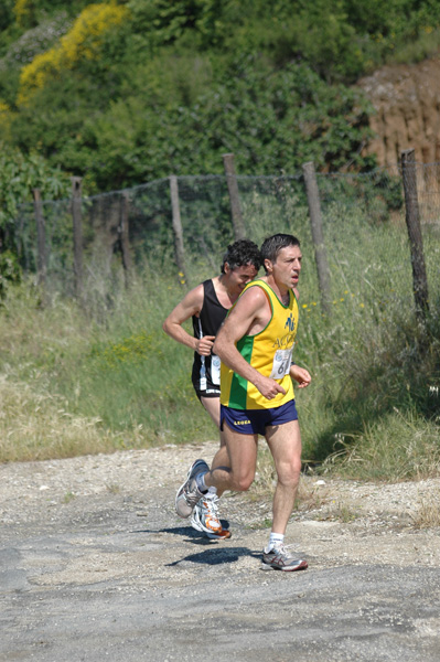Maratonina di Villa Adriana (23/05/2010) dominici_va_2280