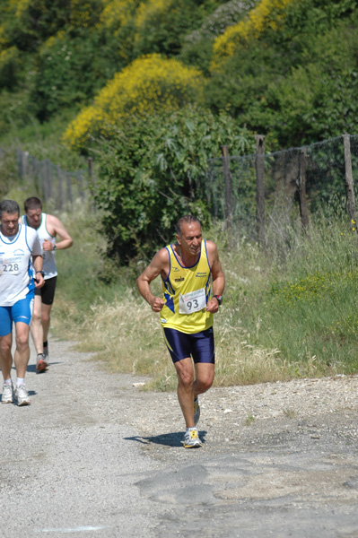 Maratonina di Villa Adriana (23/05/2010) dominici_va_2404