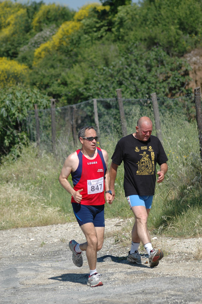 Maratonina di Villa Adriana (23/05/2010) dominici_va_2434