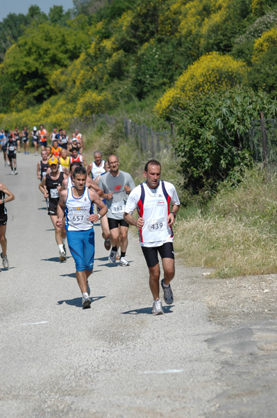Maratonina di Villa Adriana (23/05/2010) dominici_va_2449