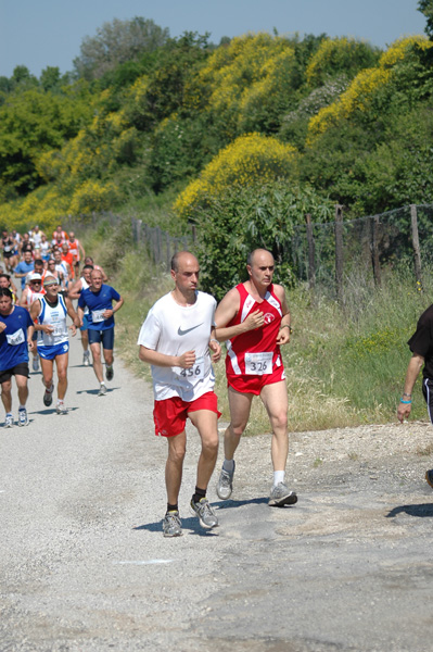 Maratonina di Villa Adriana (23/05/2010) dominici_va_2489