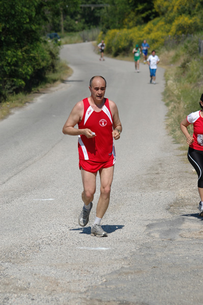 Maratonina di Villa Adriana (23/05/2010) dominici_va_2655