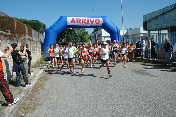 Maratonina di Villa Adriana (23/05/2010) dominici_va_2114