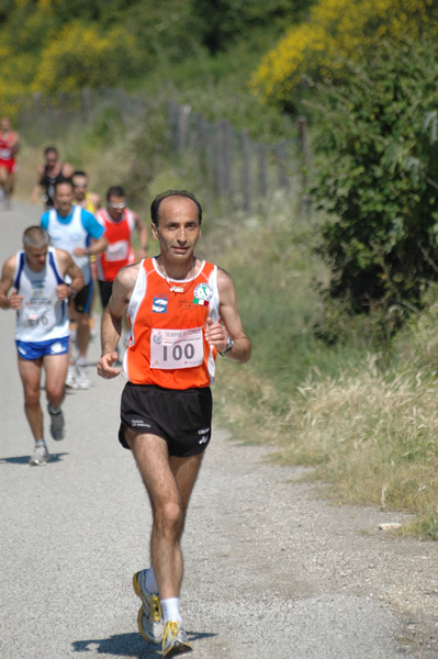 Maratonina di Villa Adriana (23/05/2010) dominici_va_2231