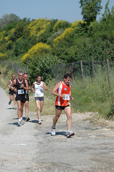 Maratonina di Villa Adriana (23/05/2010) dominici_va_2418
