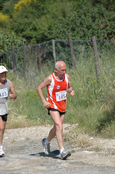 Maratonina di Villa Adriana (23/05/2010) dominici_va_2513