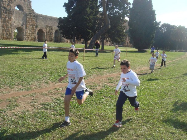 Trofeo Podistica Solidarietà (23/10/2011) 0044