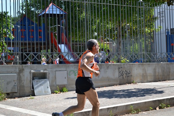 Maratonina di Villa Adriana (29/05/2011) 0093