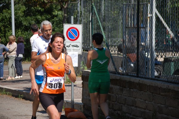 Maratonina di Villa Adriana (27/05/2012) 0016