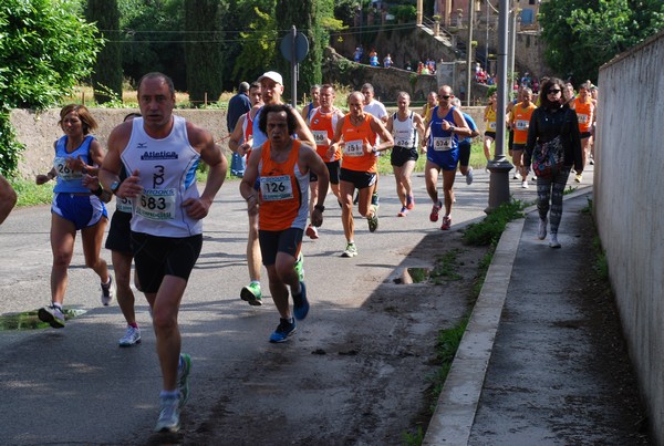 Maratonina di Villa Adriana (26/05/2013) 00028