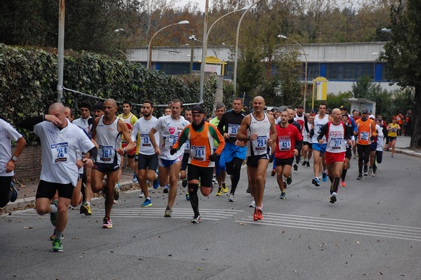 Mezza Maratona a Staffetta - Trofeo Arcobaleno (01/12/2013) 00014