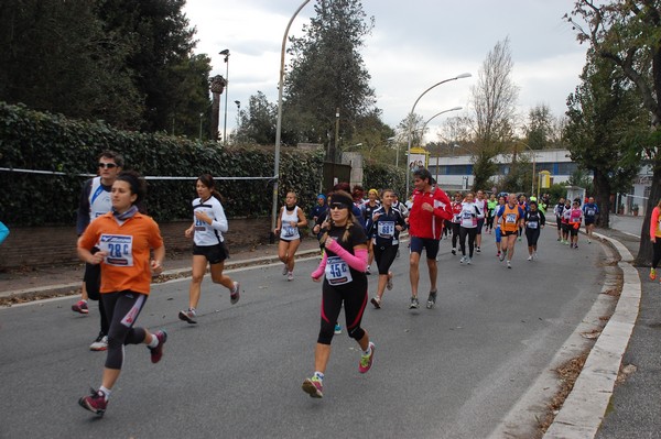 Mezza Maratona a Staffetta - Trofeo Arcobaleno (01/12/2013) 00030