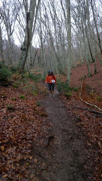 Trail del Monte Fogliano (Crit. Trail) (02/02/2014) 004