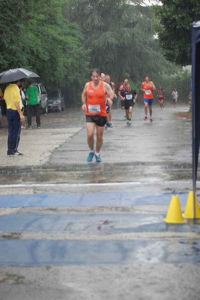 Maratonina di Villa Adriana (15/06/2014) 00087