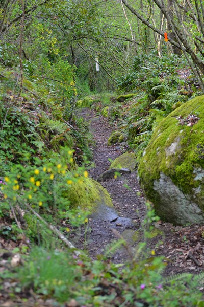Monti Cimini Run  (Crit. Trail) (13/04/2014) 001