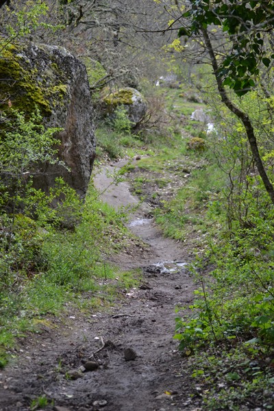 Monti Cimini Run  (Crit. Trail) (13/04/2014) 072