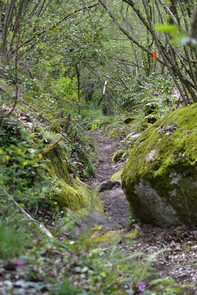 Monti Cimini Run  (Crit. Trail) (13/04/2014) 075