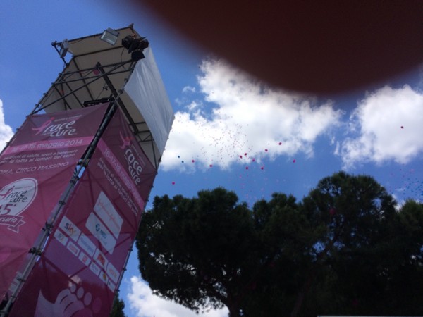 Race For The Cure (18/05/2014) 00014