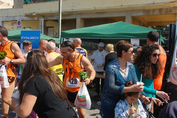 Mondragone in corsa (25/04/2015) 00033