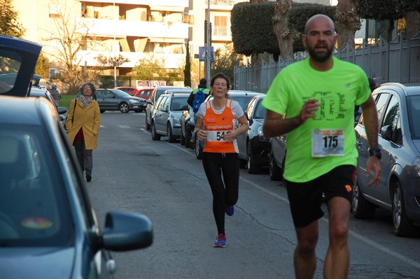 Maratonina di S.Alberto Magno (12/11/2016) 00061