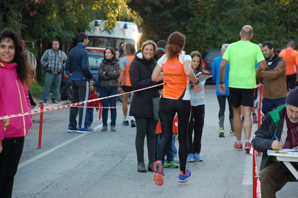 Maratonina di S.Alberto Magno (12/11/2016) 00062