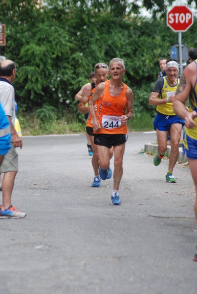 Maratonina di Villa Adriana (CCRun) (29/05/2016) 00128