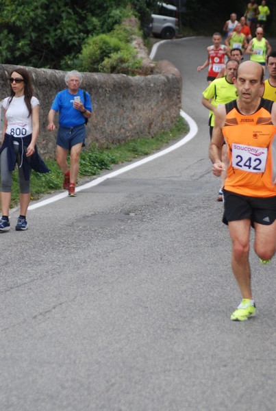 Maratonina di Villa Adriana (CCRun) (29/05/2016) 00083