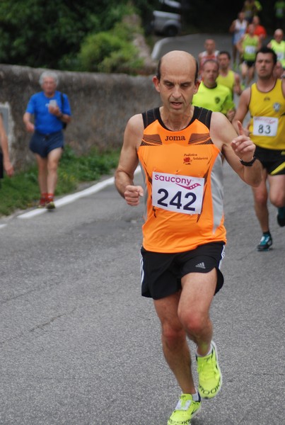 Maratonina di Villa Adriana (CCRun) (29/05/2016) 00084