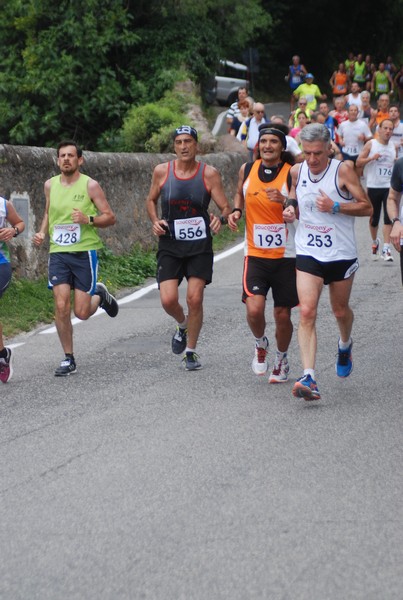 Maratonina di Villa Adriana (CCRun) (29/05/2016) 00120