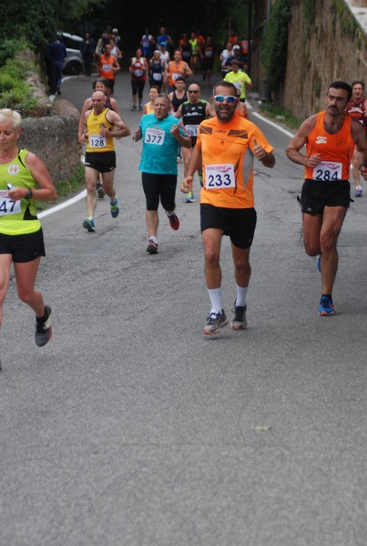 Maratonina di Villa Adriana (CCRun) (29/05/2016) 00201