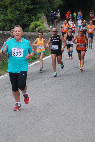 Maratonina di Villa Adriana (CCRun) (29/05/2016) 00002