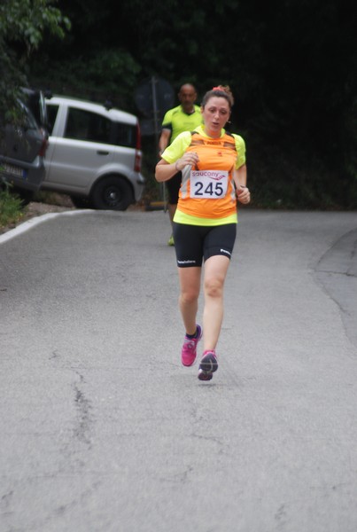 Maratonina di Villa Adriana (CCRun) (29/05/2016) 00176