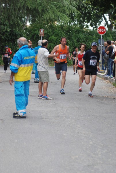 Maratonina di Villa Adriana (CCRun) (29/05/2016) 00113