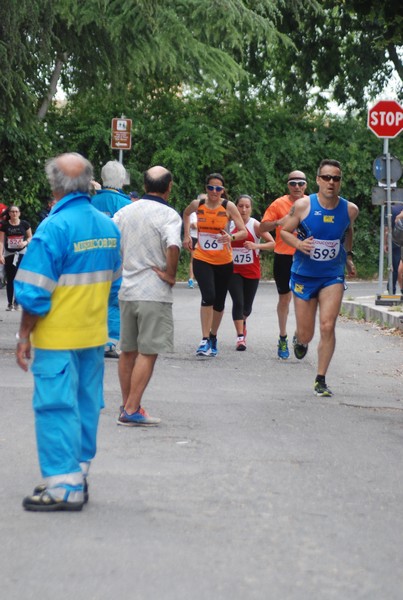 Maratonina di Villa Adriana (CCRun) (29/05/2016) 00119