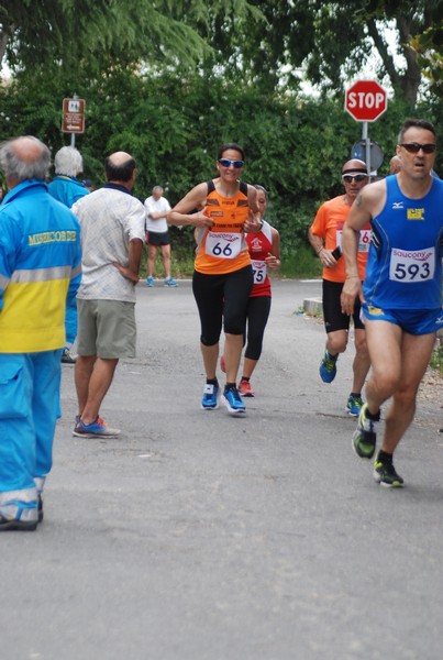 Maratonina di Villa Adriana (CCRun) (29/05/2016) 00122