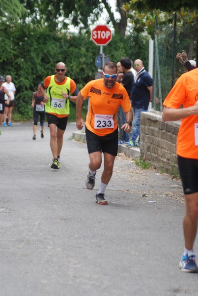 Maratonina di Villa Adriana (CCRun) (29/05/2016) 00149
