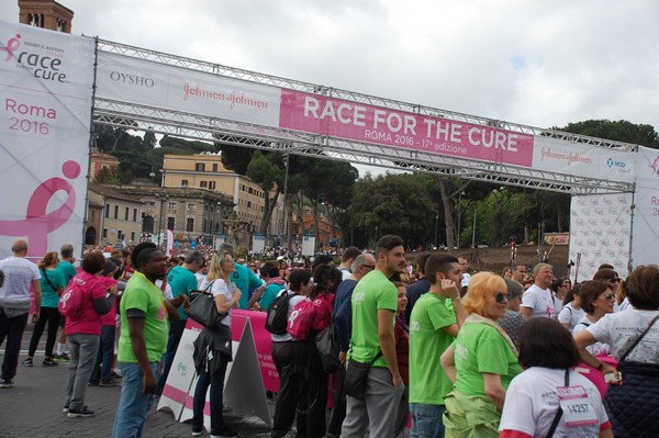 Race For The Cure (TOP) (15/05/2016) 00202