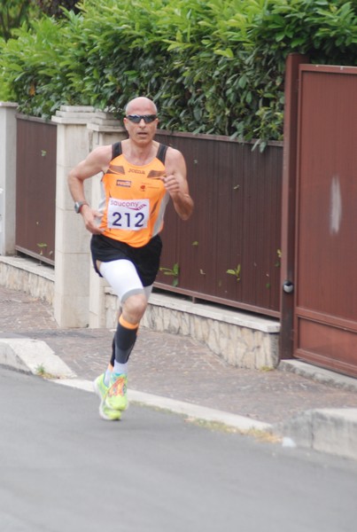 Maratonina di Villa Adriana (CCRun) (29/05/2016) 00019