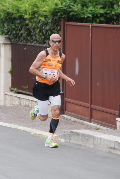 Maratonina di Villa Adriana (CCRun) (29/05/2016) 00020