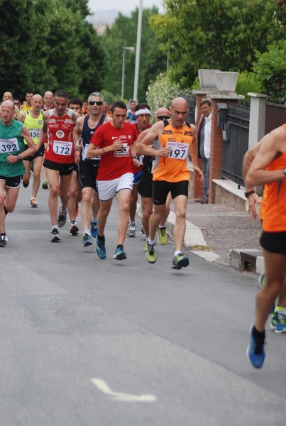 Maratonina di Villa Adriana (CCRun) (29/05/2016) 00066