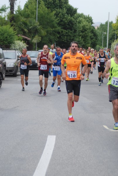 Maratonina di Villa Adriana (CCRun) (29/05/2016) 00124
