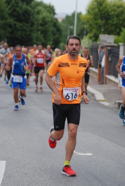 Maratonina di Villa Adriana (CCRun) (29/05/2016) 00126