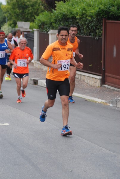 Maratonina di Villa Adriana (CCRun) (29/05/2016) 00150