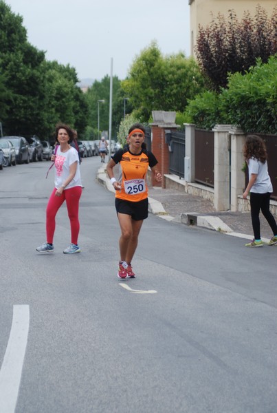 Maratonina di Villa Adriana (CCRun) (29/05/2016) 00215
