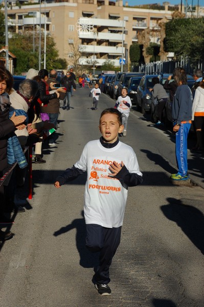 Maratonina di S.Alberto Magno (12/11/2016) 00050