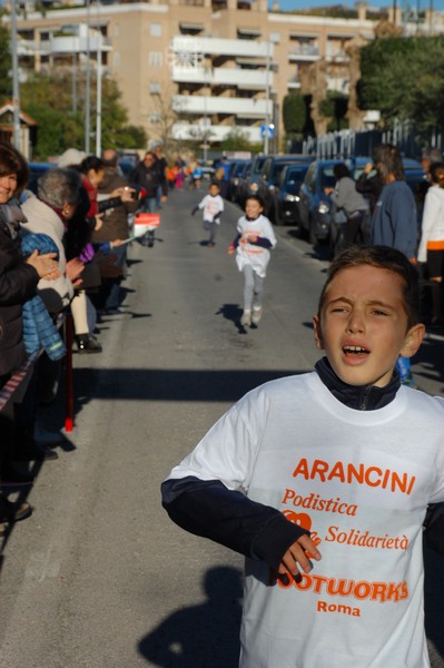 Maratonina di S.Alberto Magno (12/11/2016) 00052