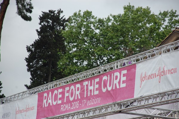 Race For The Cure (TOP) (15/05/2016) 00012