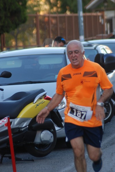 Maratonina di S.Alberto Magno [TOP] (11/11/2017) 00087