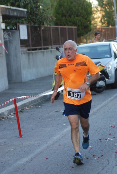Maratonina di S.Alberto Magno [TOP] (11/11/2017) 00089