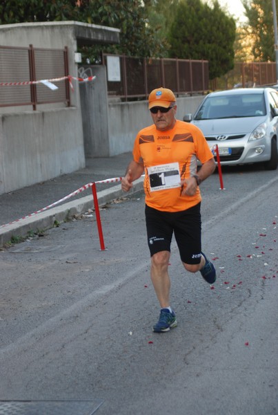 Maratonina di S.Alberto Magno [TOP] (11/11/2017) 00110
